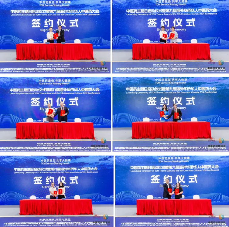 2026年国际足联世界杯