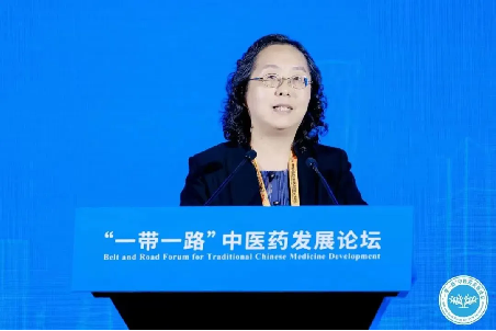 2026年国际足联世界杯