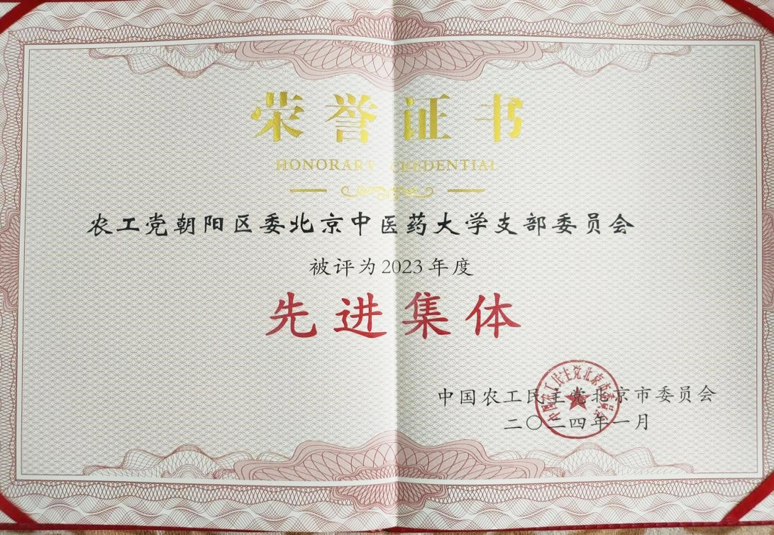 2026年国际足联世界杯