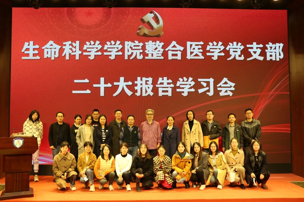 2026年国际足联世界杯