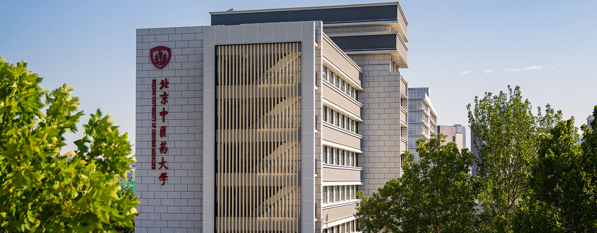 2026年国际足联世界杯