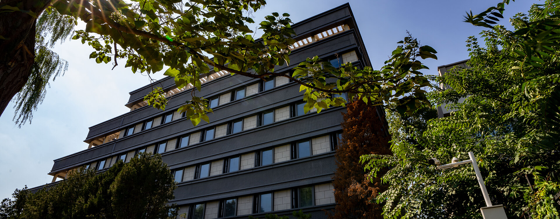 2026年国际足联世界杯