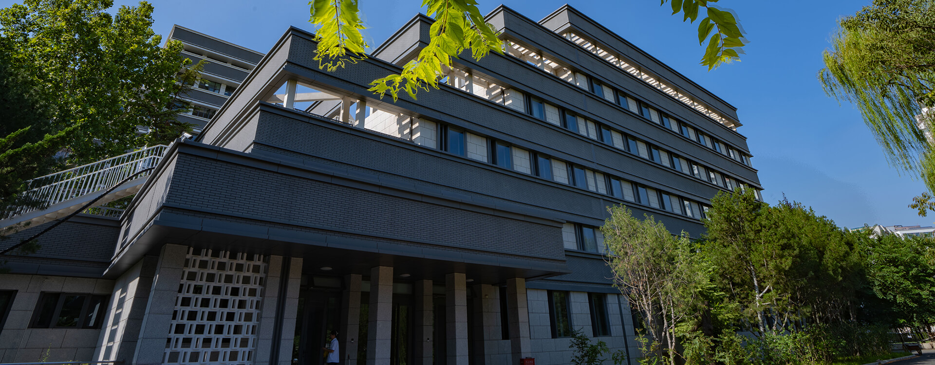 2026年国际足联世界杯