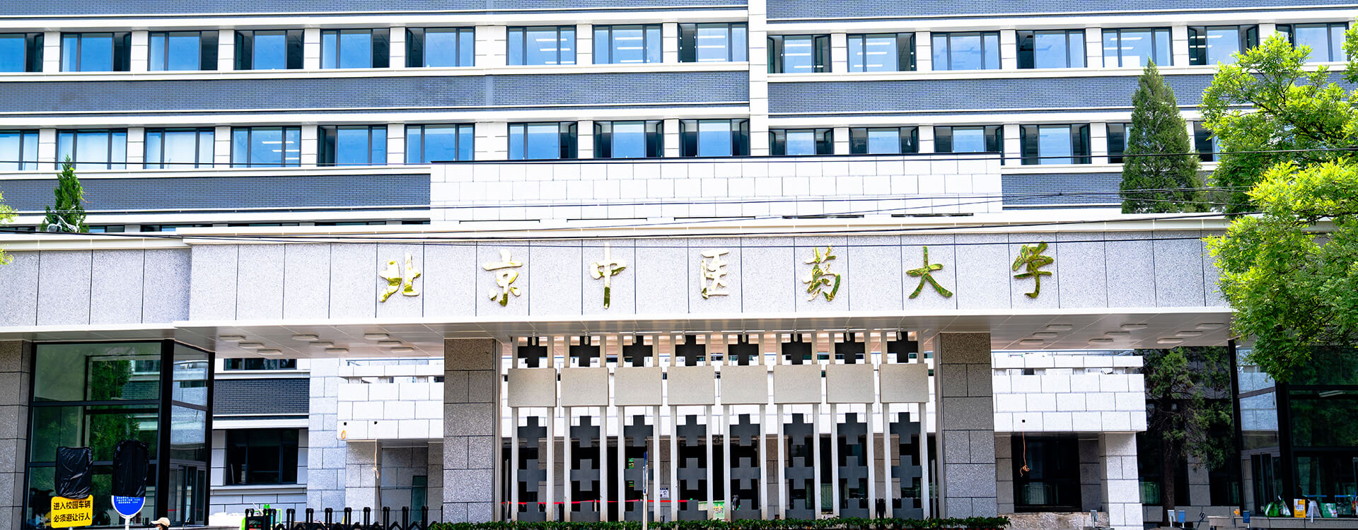 2026年国际足联世界杯