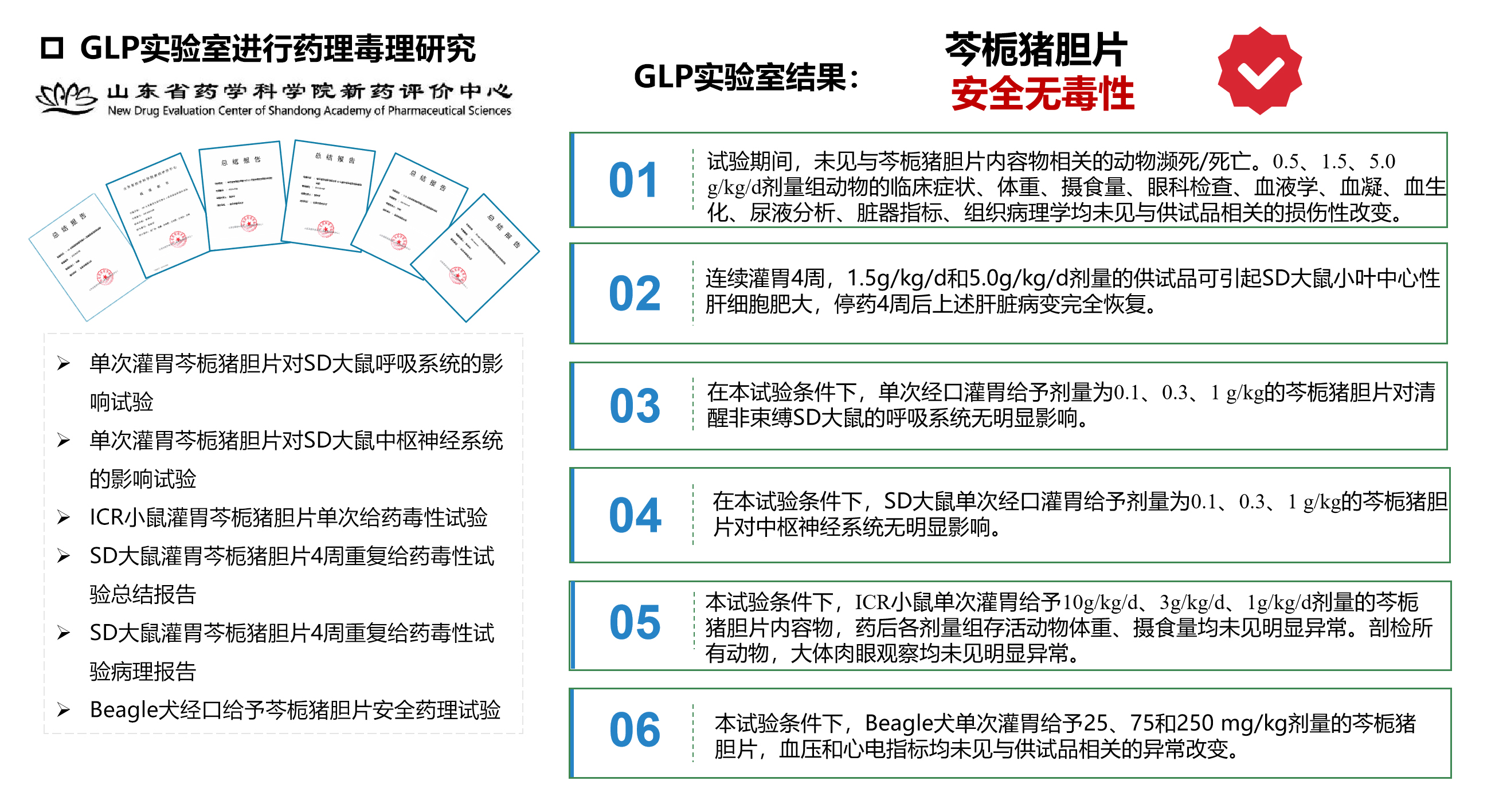 2026年国际足联世界杯