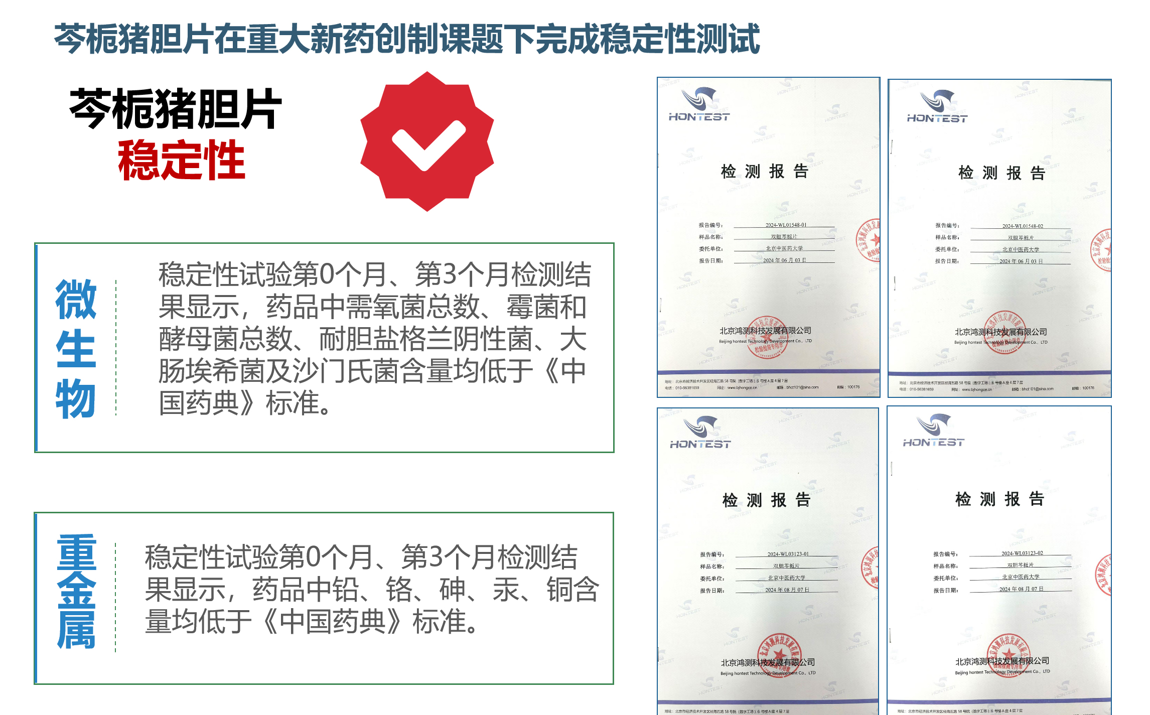 2026年国际足联世界杯