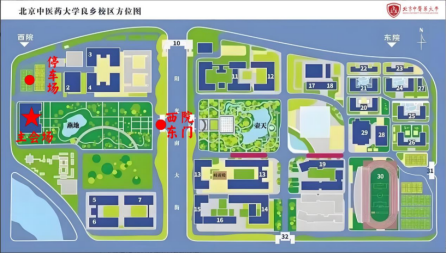 2026年国际足联世界杯