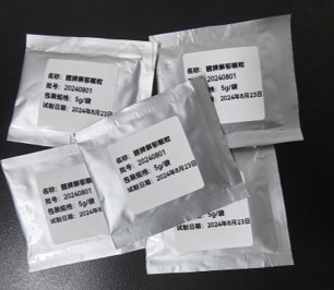 2026年国际足联世界杯