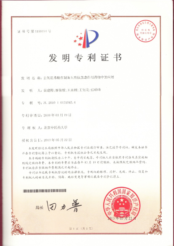 2026年国际足联世界杯