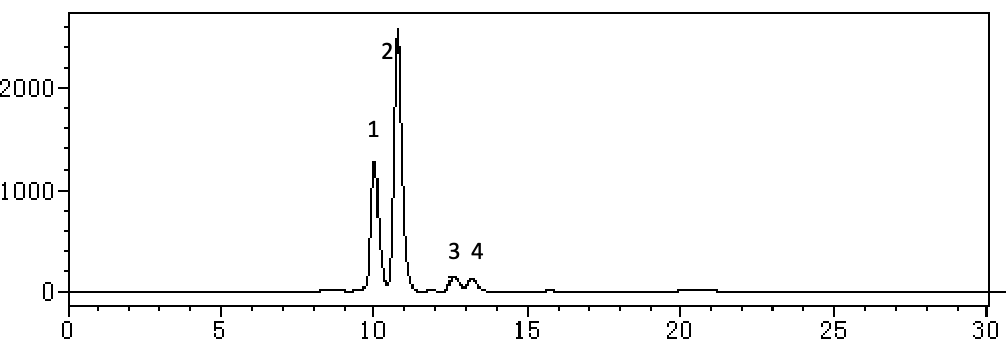 2026年国际足联世界杯