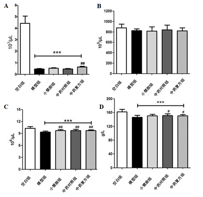 2026年国际足联世界杯