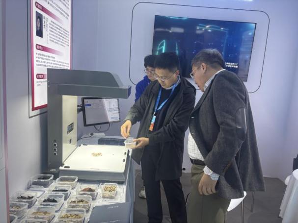 2026年国际足联世界杯