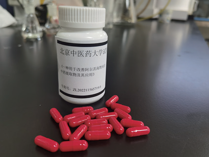 2026年国际足联世界杯