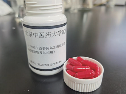 2026年国际足联世界杯