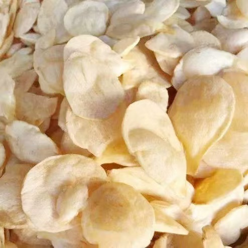 2026年国际足联世界杯