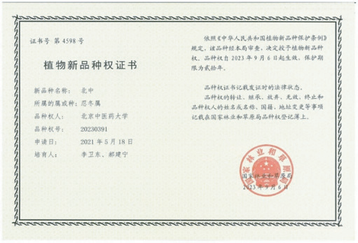 2026年国际足联世界杯