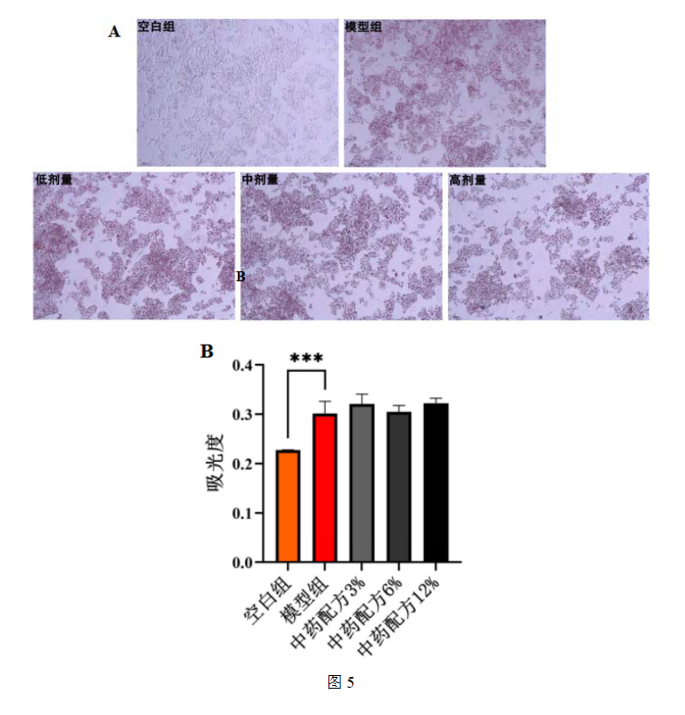 2026年国际足联世界杯