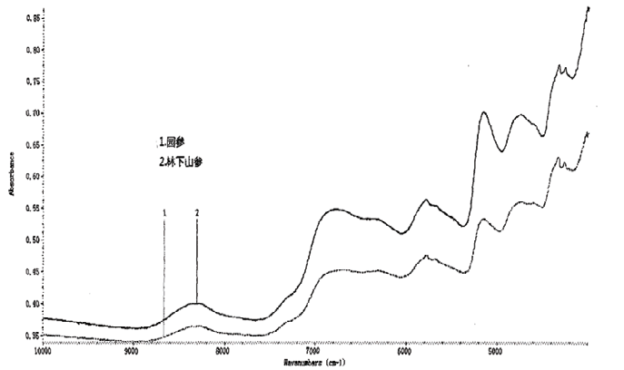 2026年国际足联世界杯