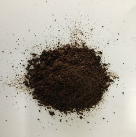 2026年国际足联世界杯