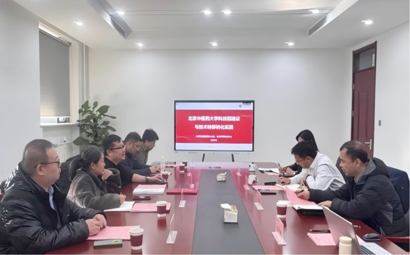 2026年国际足联世界杯