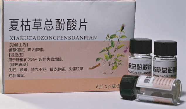 2026年国际足联世界杯