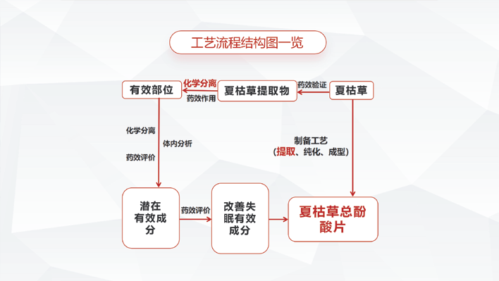 2026年国际足联世界杯