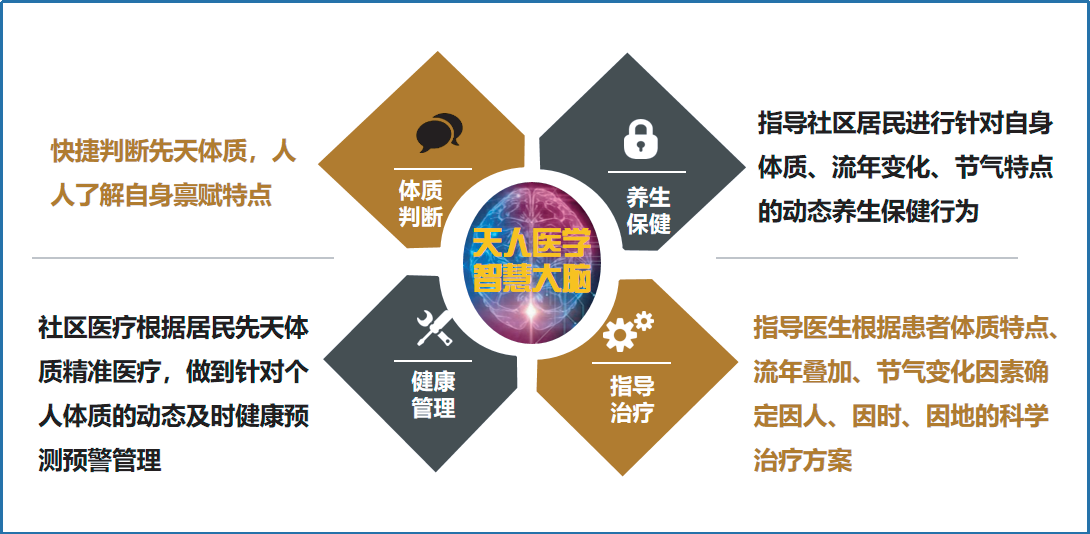 2026年国际足联世界杯