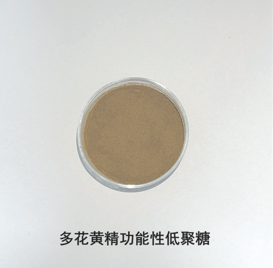 2026年国际足联世界杯