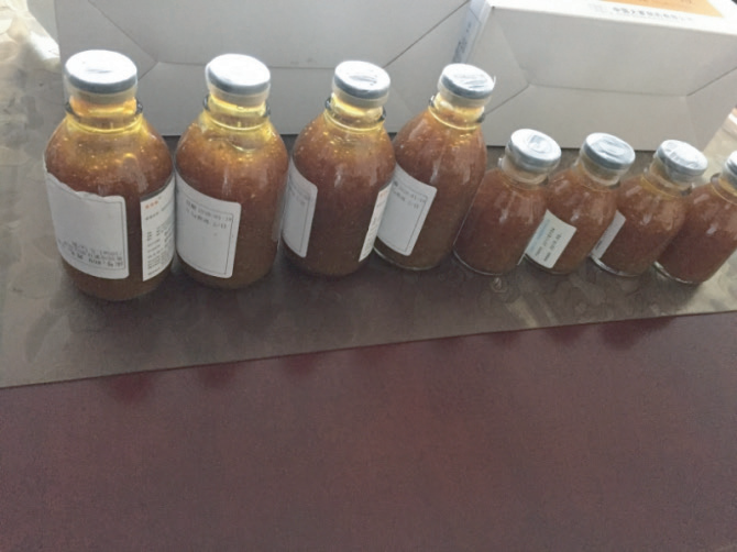 2026年国际足联世界杯