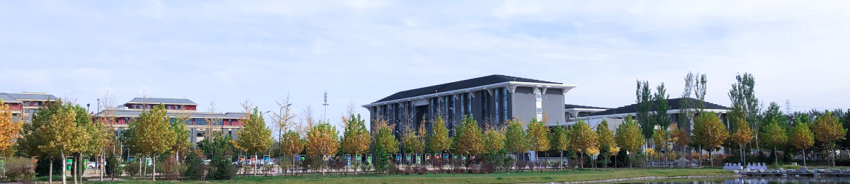 2026年国际足联世界杯